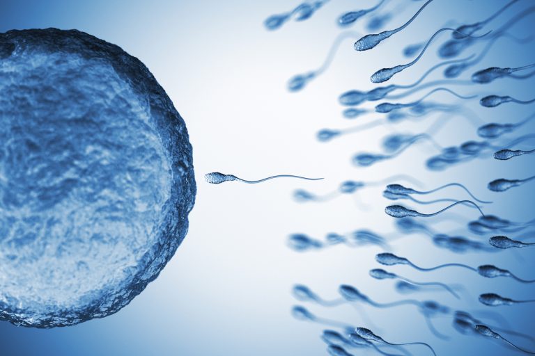 Oltre la PMA: ruolo della prevenzione e tutela della fertilità naturale nell’Infertilità di coppia
