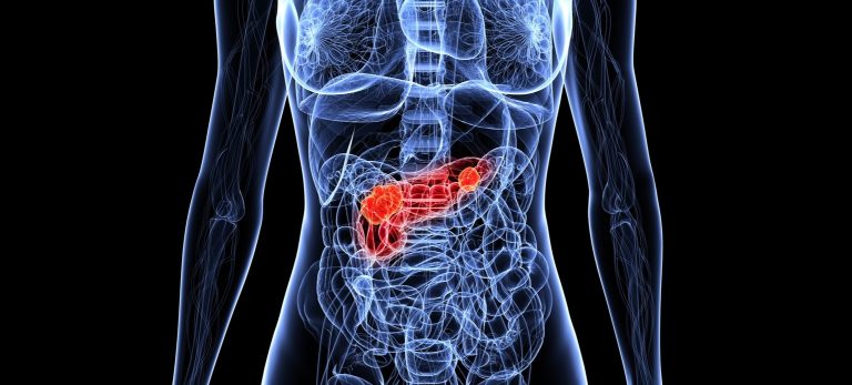 Advanced Hands-on Course in Pancreatic Surgery 2026